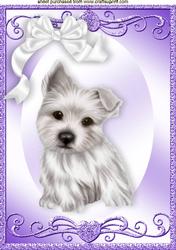 White Little Westie Pup in Ornate Frame A4