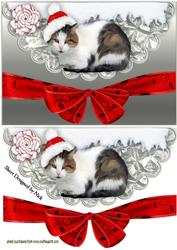 Pussy Cat in Santa Hat on Scalloped Envelope