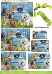 Cats and Dogs Taking a Bath, Pyramids