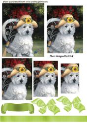 Cute Little Westie in Sun Hat, Pyramids