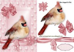 Sweet Little Bird in Star Frame with Bow