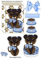 Cute Yorkshire Terrier on Book Front