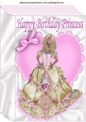 Princess in Pink with Roses in Big A4 Book Front