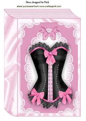 Beautiful Ladies Basque with Bows on Folded Book A4