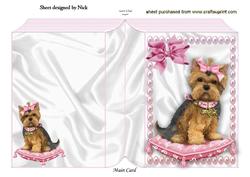 Little Yorkshire Terrier on a Cushion Folded Book