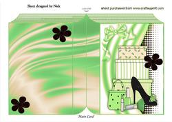 Ladies Shoe with Accessories in Funky Green Folded Book