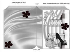 Ladies Shoe and Accessories in Funky Silver Folded Book