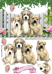 The Three Wise Pooches, See No Evil, Hear No Evil, Speak