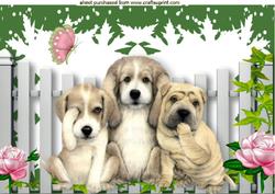Three Wise Pooches, See No Evil, Hear No Evil Speak No Evil