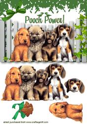 Pooch Power, Cute Little Dogs