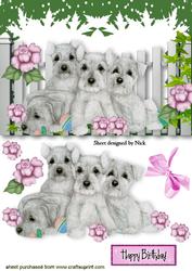 Cute Terriers with Pink Roses in the Garden