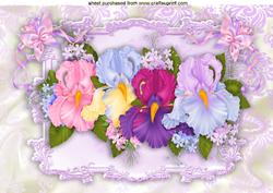 Pretty Coloured Iris's with Butterfly Bows A4