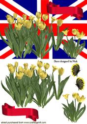 Yellow Tulips for Spring with Union Jack