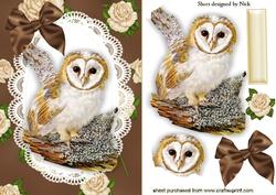 Gorgeous Owl on a Branch, on Lace Frame with Cream Roses