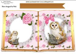 Cute Owl on a Branch with Pink Roses Open Book A4