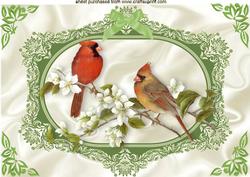 Pretty Birds with Blossoms in Ornate Frame A4