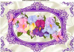 Pretty Coloured Iris's with Butterflies A4