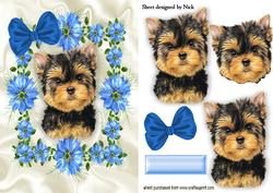 Yorkshire Terrier in Frame of Pretty Blue Flowers