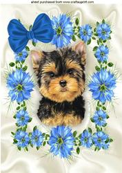 Little Yorkshire Terrier in Frame of Pretty Blue Flowers A4