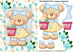 Little Flower Teddy, in Flower Frame