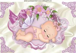 Sleeping Baby Girl in Frame of Flowers with Butterflies A4