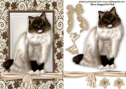 Brown/white Beautiful Persian in Floral Frame