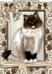 Brown/white Beautiful Persian in Floral Frame A4