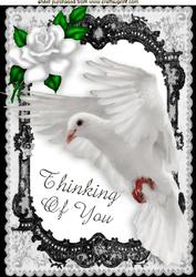 With Sympathy, Thinking of You, Dove in Flight A4