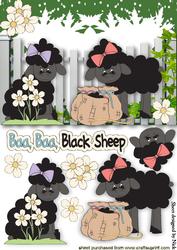 Ba Ba Black Sheet, Playing with Flowers