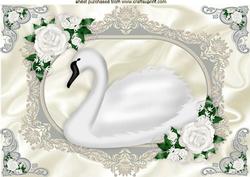 White Swan on Satin with White Roses A4