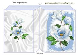 Beautiful Blue Flowers in Lace Frame Folded Book