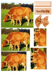 Cow and Her Baby Calf in the Meadows Pyramids