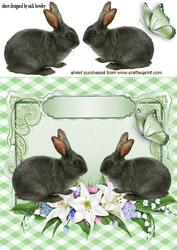 Cute Grey Bunnies in a Flower Frame with Butterflies