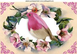 Pretty Robin in Flower Frame A4