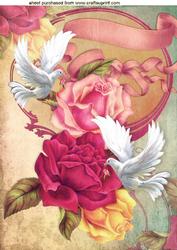 Beautiful White Doves and Rose A4