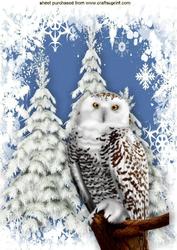 Beautiful Snow Owl with Winter Scene A4
