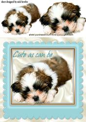 Cute as Can Be, Puppy in a Frame