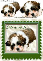 As Cute as Can Be Puppy in Dark Green Frame