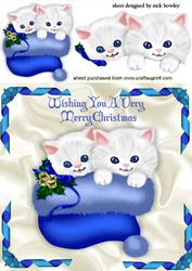 Cute Kitties in Blue Santa Hat