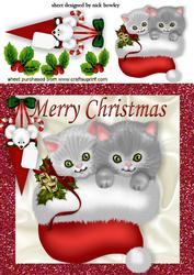 Cute Kitties in Santa Hat with Cheeky Mouse in a Cone