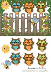 Sleepy Owls Enjoying the Sunshine