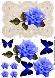 Stunning Elegant Blue Rose on Ecru Lace