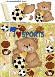 Birthday Teddy I Love Sports 8x8