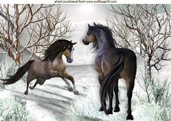 Playful Wild Horses in the Snow A4