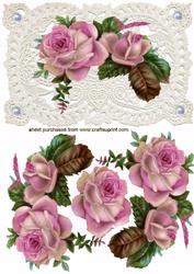 Elegant Pink Rose's on Ecru Lace Background