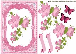 Pink Wild Rose in Pink Lace Frame