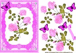 Elegant Pink Rose in Lace Pink Frame