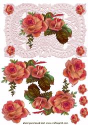 Elegant Floral Rose in Shades of Red on Lace Background Quick Card