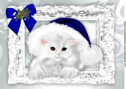 Fluffy White Kitten in Blue Santa Hat with Bow A4
