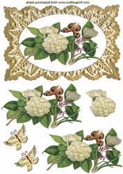 Beautiful Cream Flowers on Gold Frame